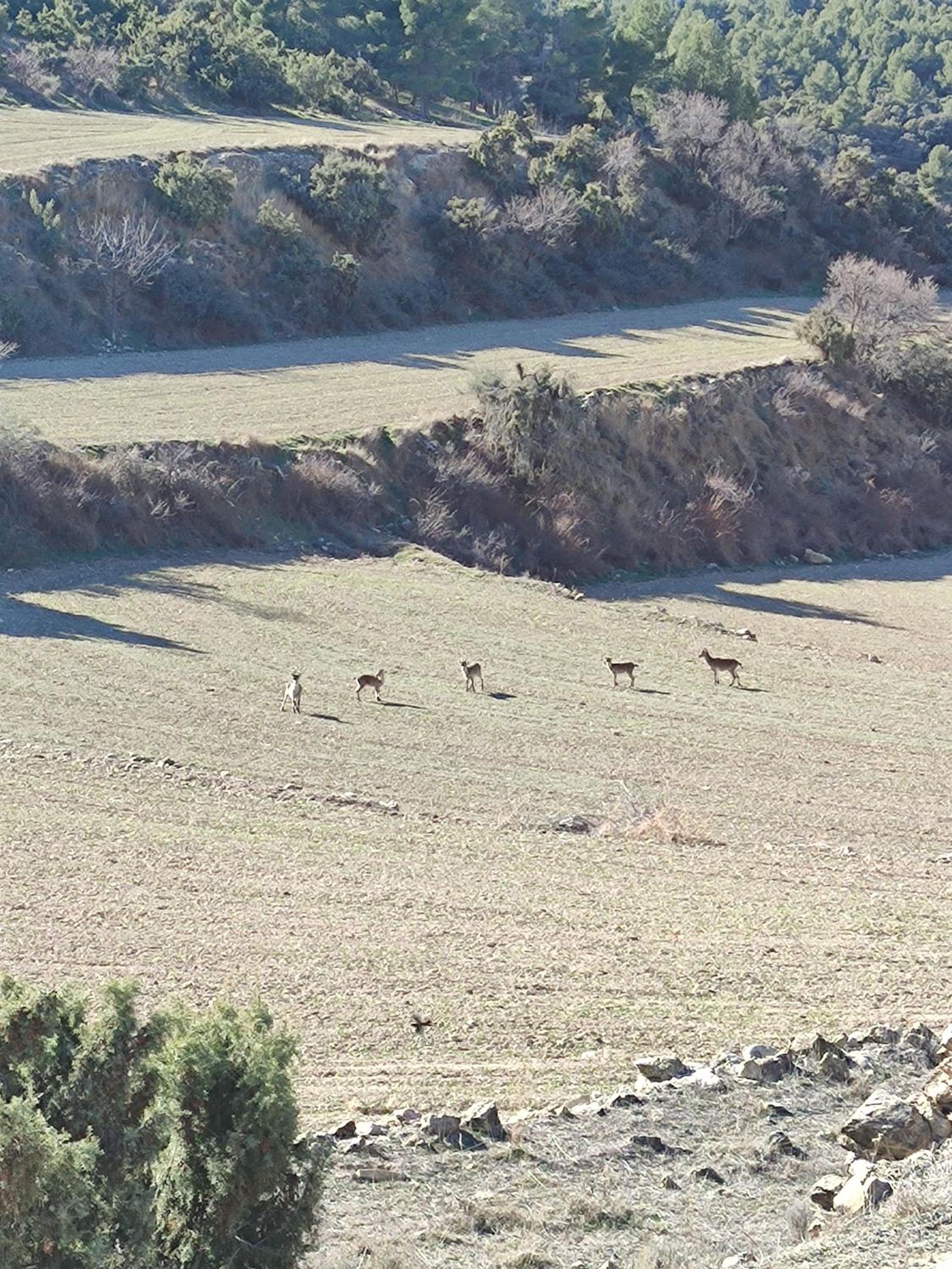 Alojamiento rural Casa Marco Maestrazgo Teruel