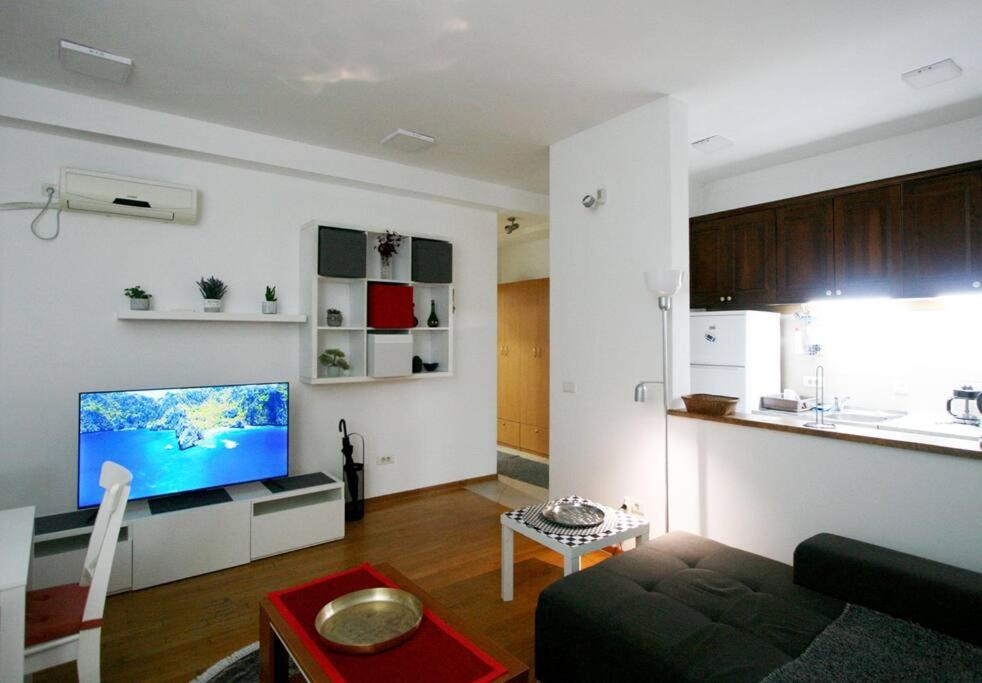 Monet Apartment Belgrade: ideal place for Digital Nomads, Medical Tourists, Wellness