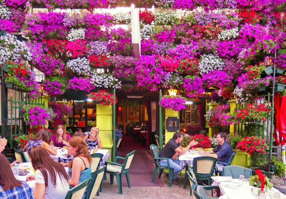 Monet Apartment Belgrade: ideal place for Digital Nomads, Medical Tourists, Wellness