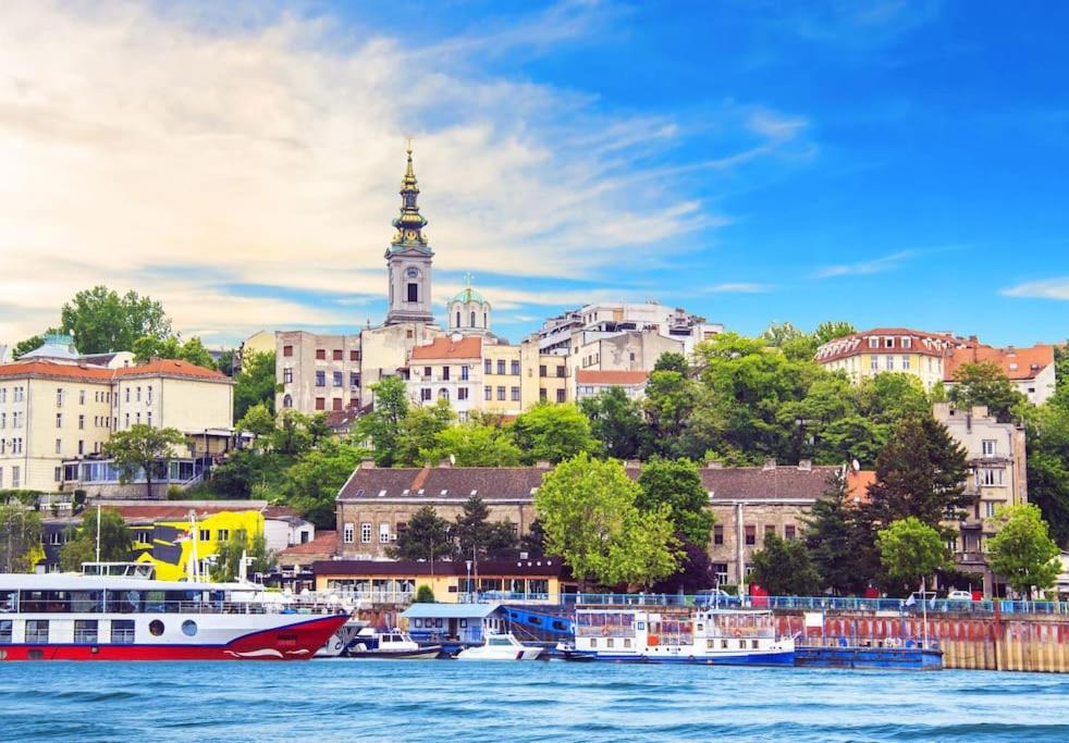 Monet Apartment Belgrade: ideal place for Digital Nomads, Medical Tourists, Wellness