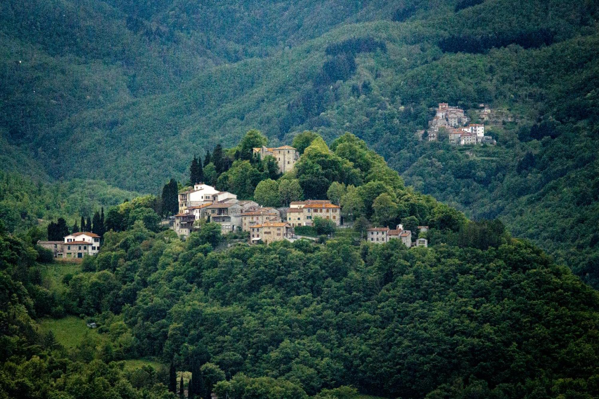 Agriturismo Terra Di Michelangelo