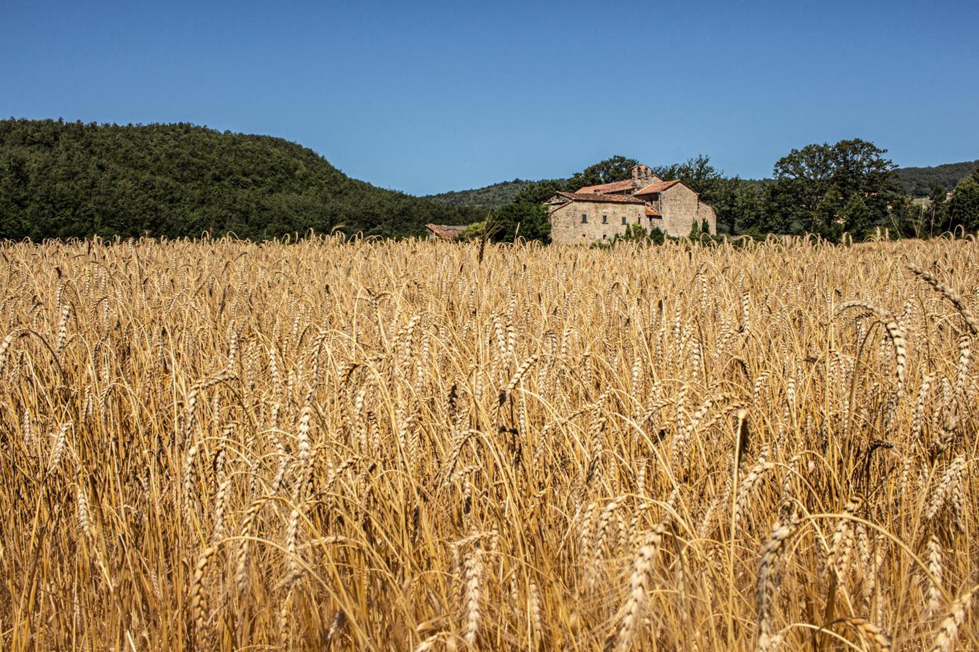 Agriturismo Terra Di Michelangelo
