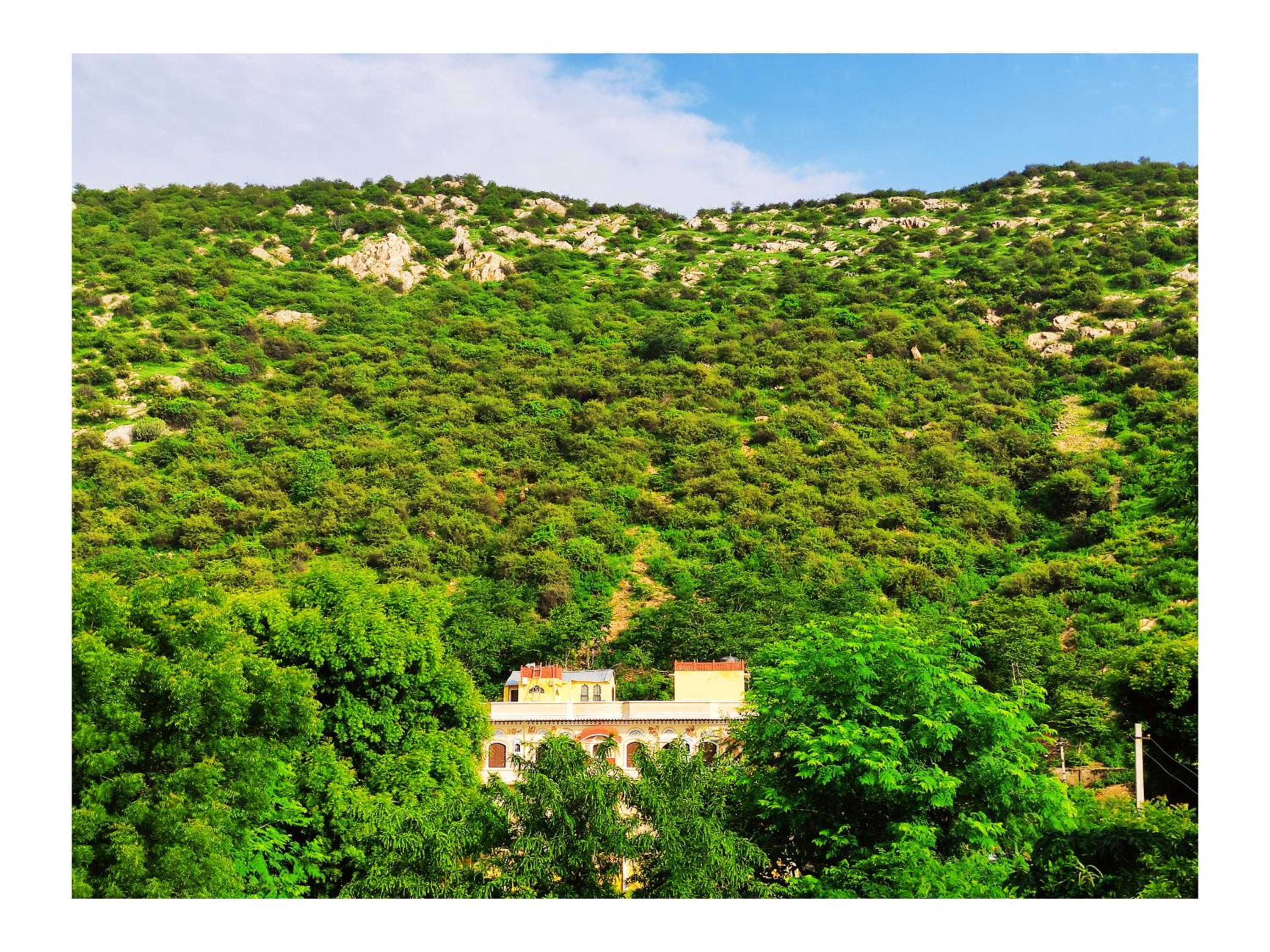 Raj Haveli- A Heritage Samode view 4