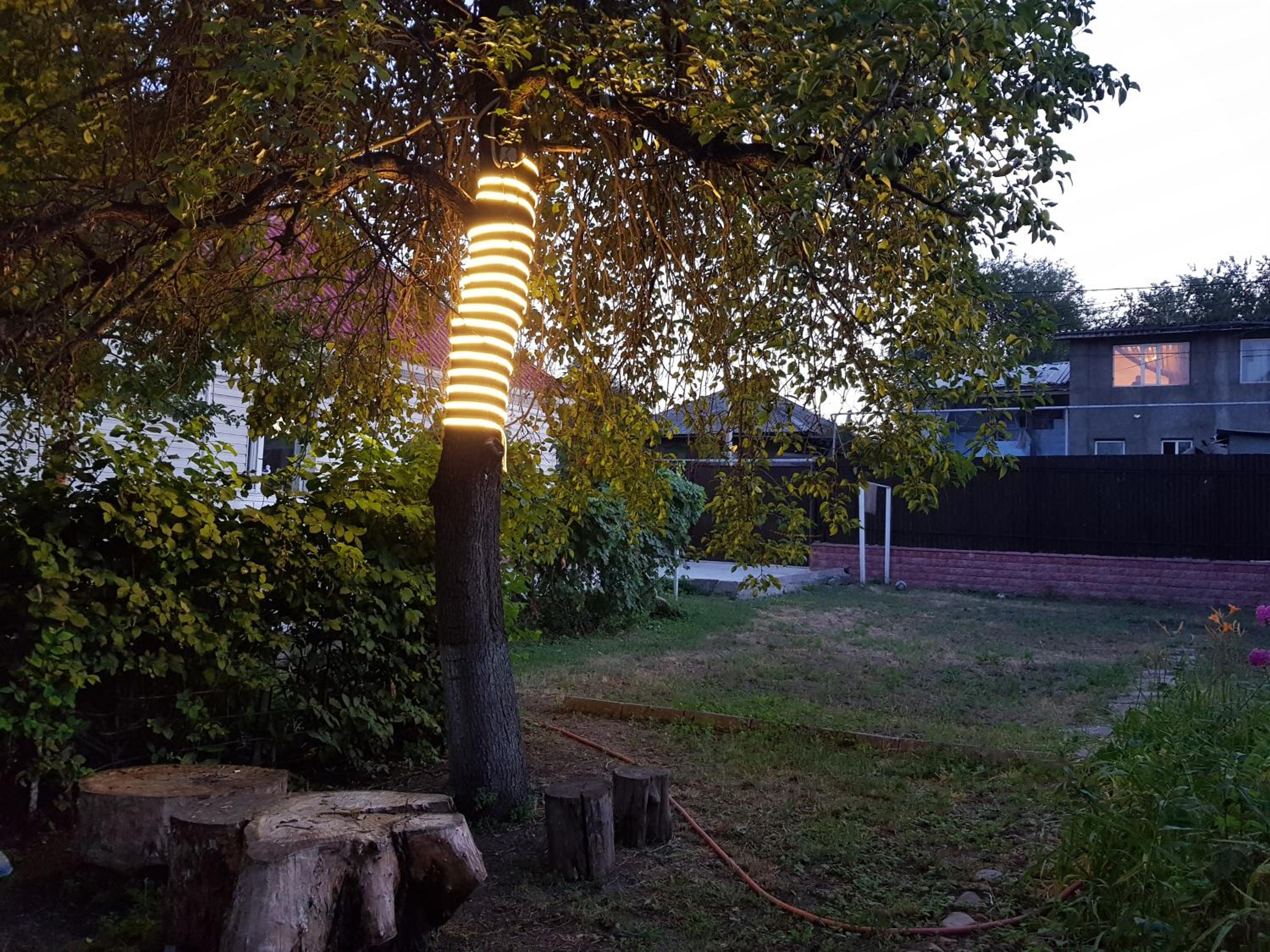 Garden House view 2