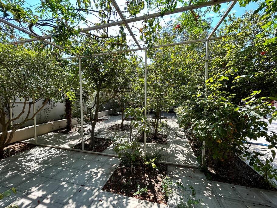 Relax in eco-best zone of Baku