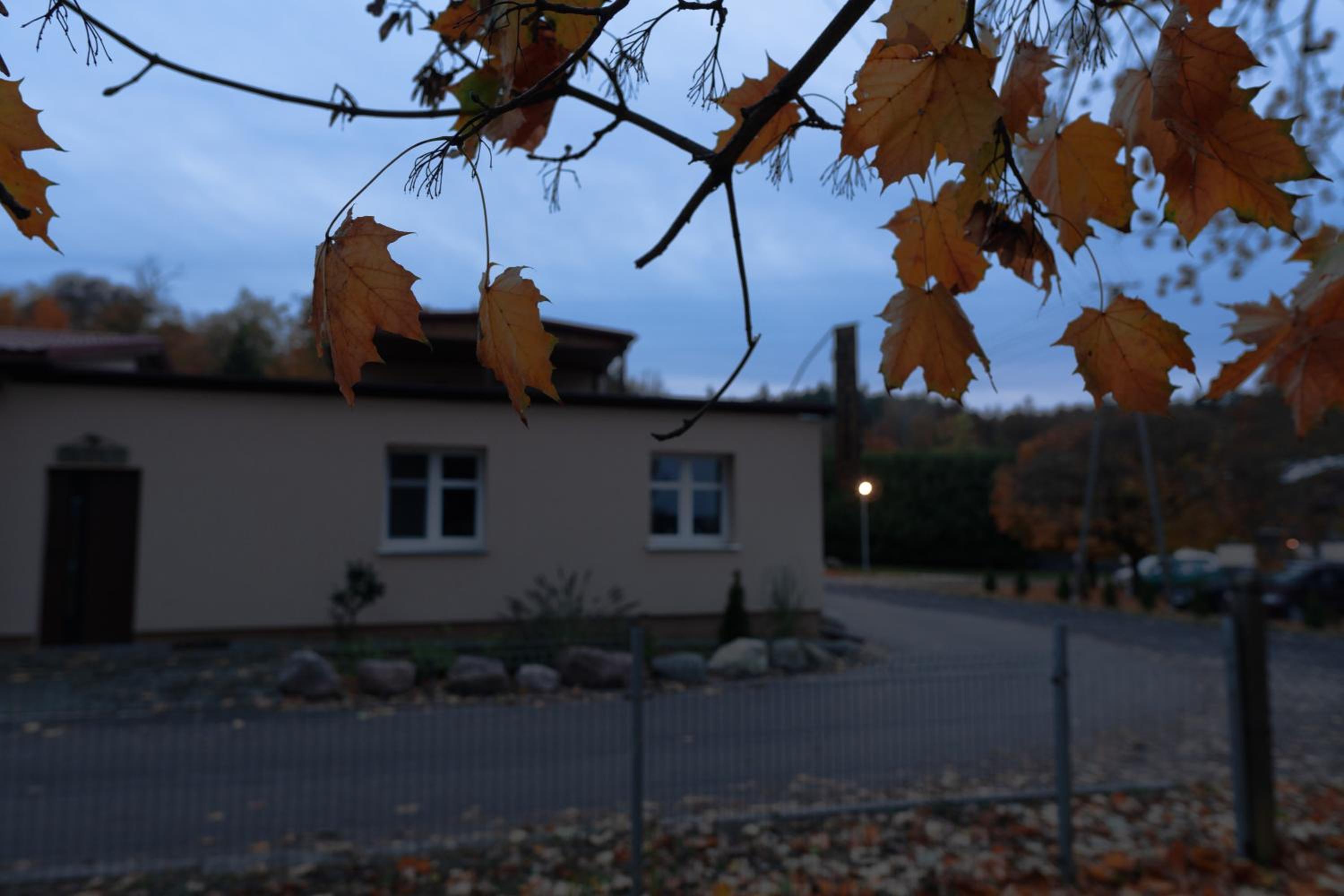 Photo 42