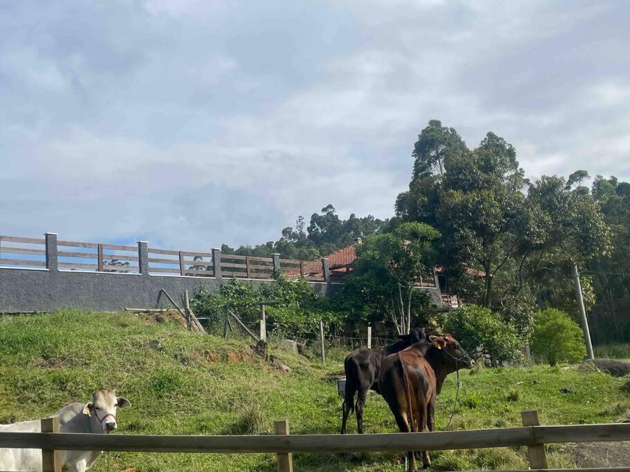 SÍTIO CANTINHO DO SOSSEGO, Casa de campo, pescaria, lareira, jogos de bilhar, area gourmet etc
