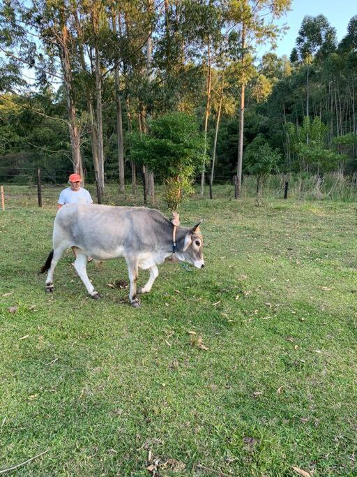 SÍTIO CANTINHO DO SOSSEGO, Casa de campo, pescaria, lareira, jogos de bilhar, area gourmet etc