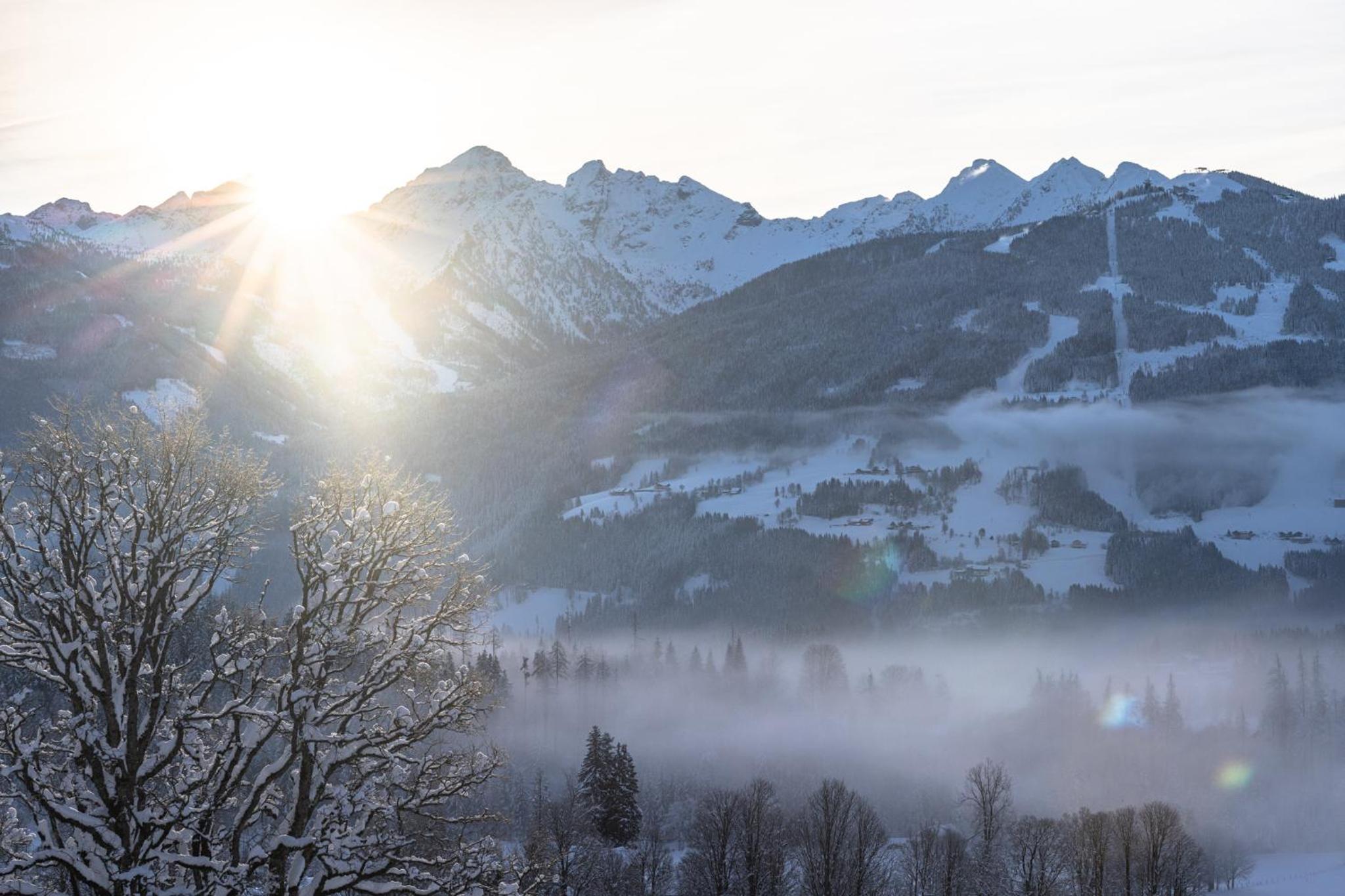 Pension Dachsteinhof