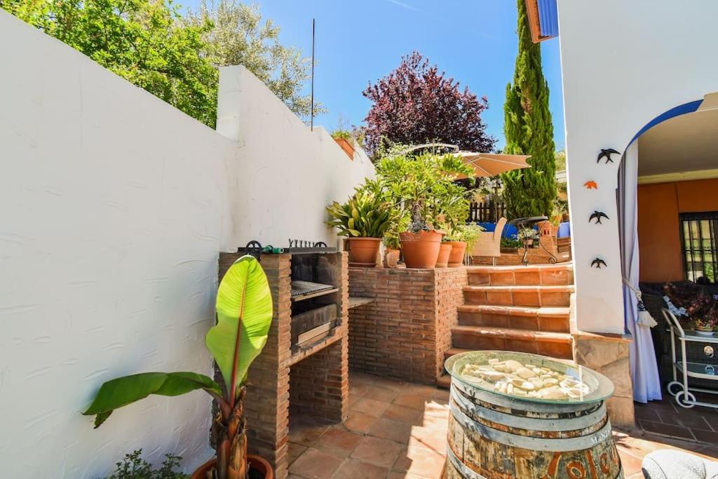 Vega’s Love photo 3