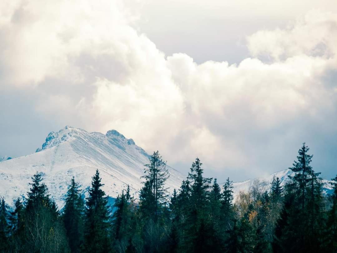 Photo 50