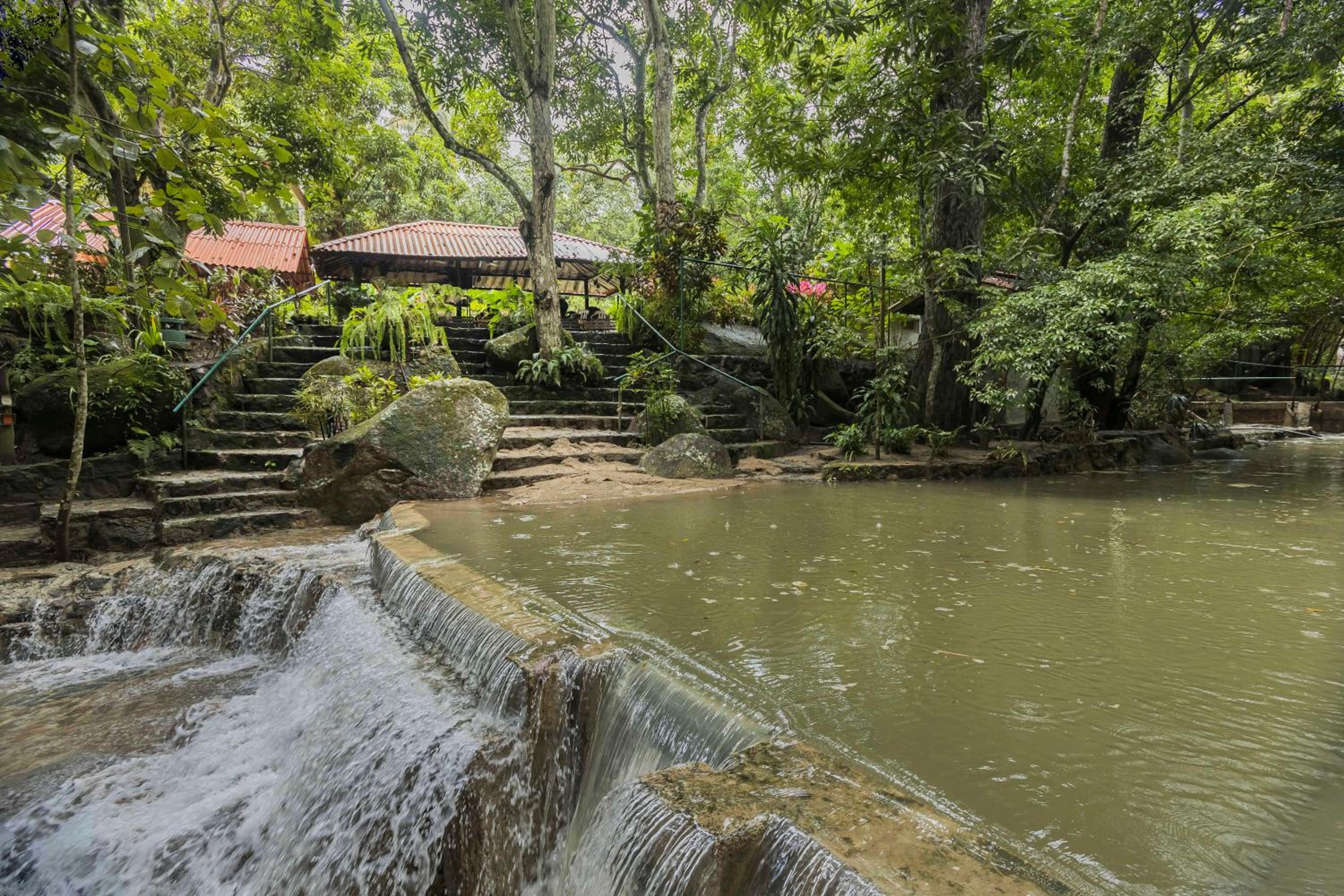 Las Margaritas - La Tigrera, Minca