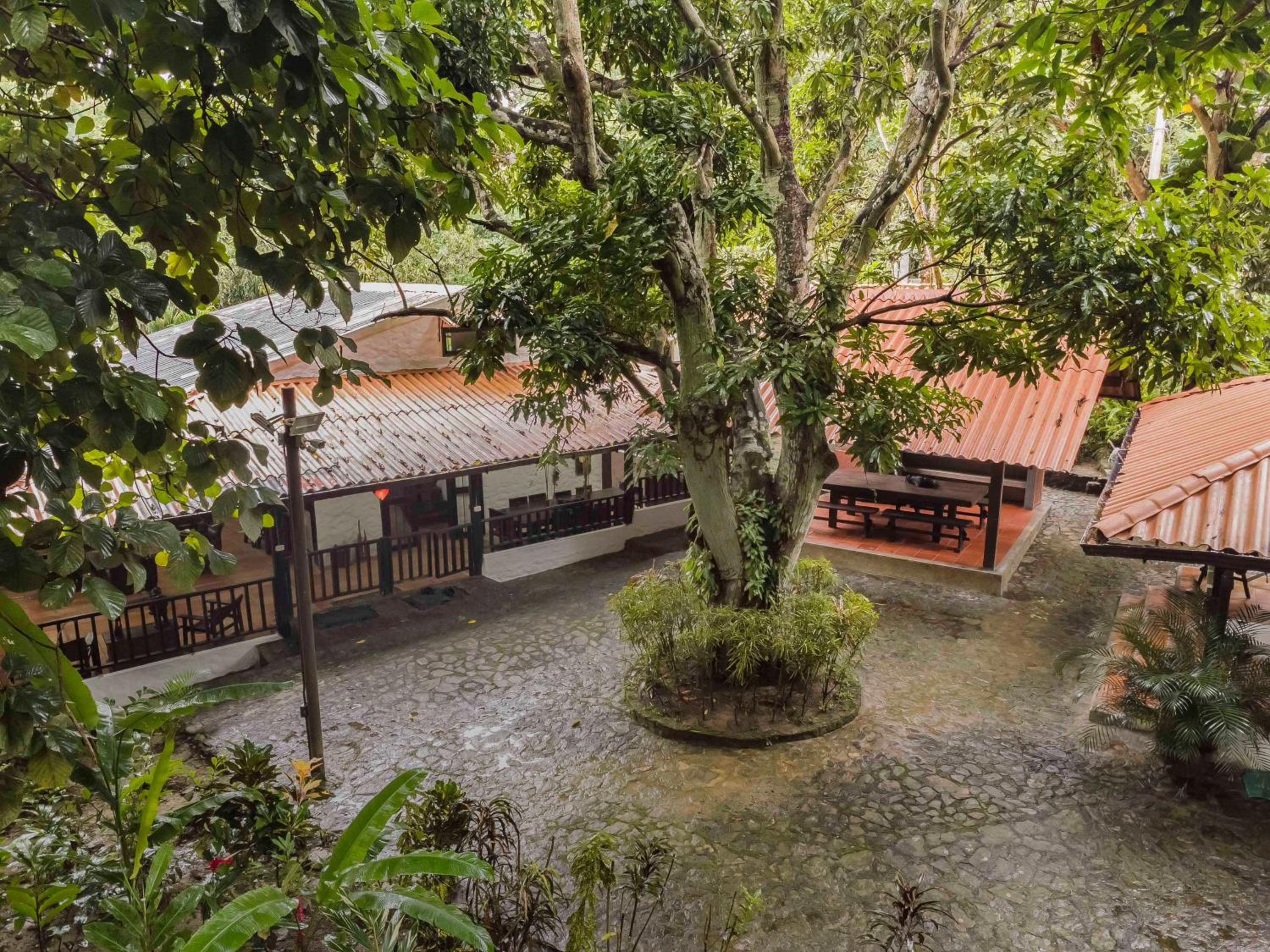 Las Margaritas - La Tigrera, Minca