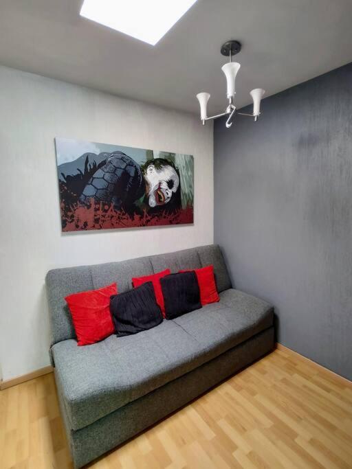 Disfruta de la ciudad en un espacio tranquilo! view 4