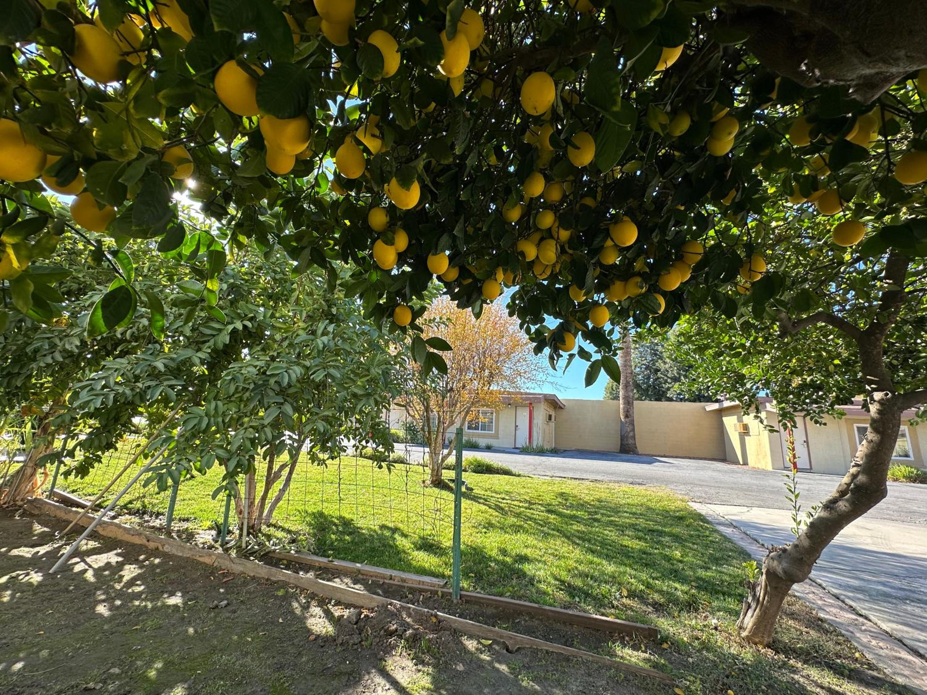 Hemet Vacations - Royal Inn and Suites - Property Image 19