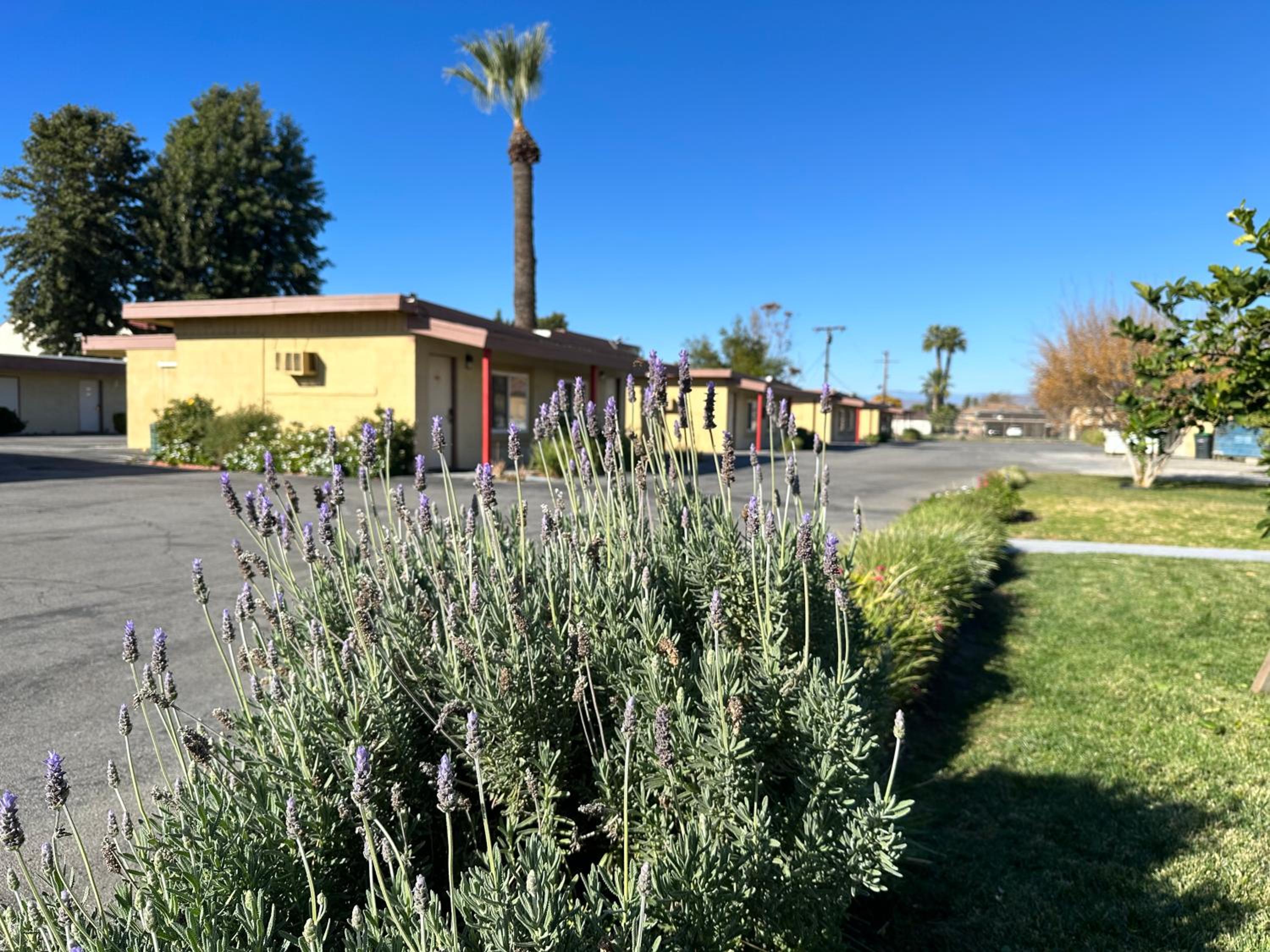 Hemet Vacations - Royal Inn and Suites - Property Image 18