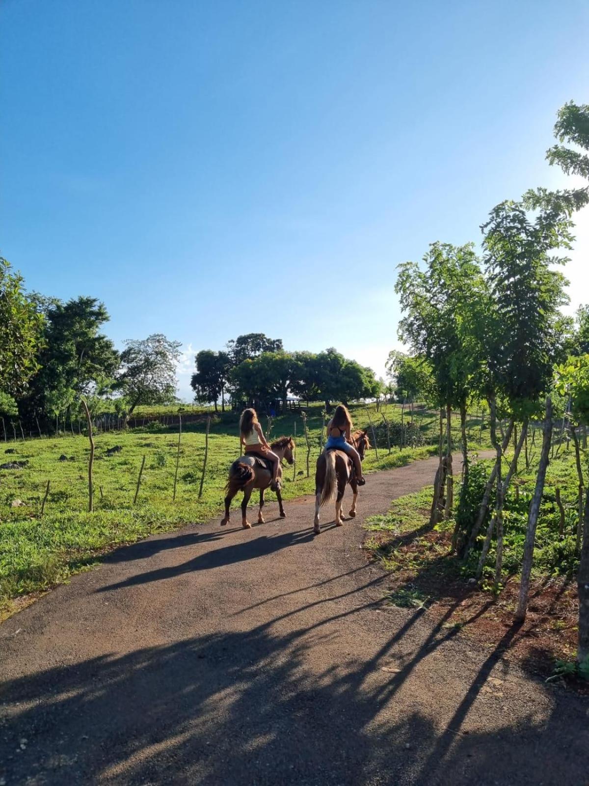 Finca Jasmat