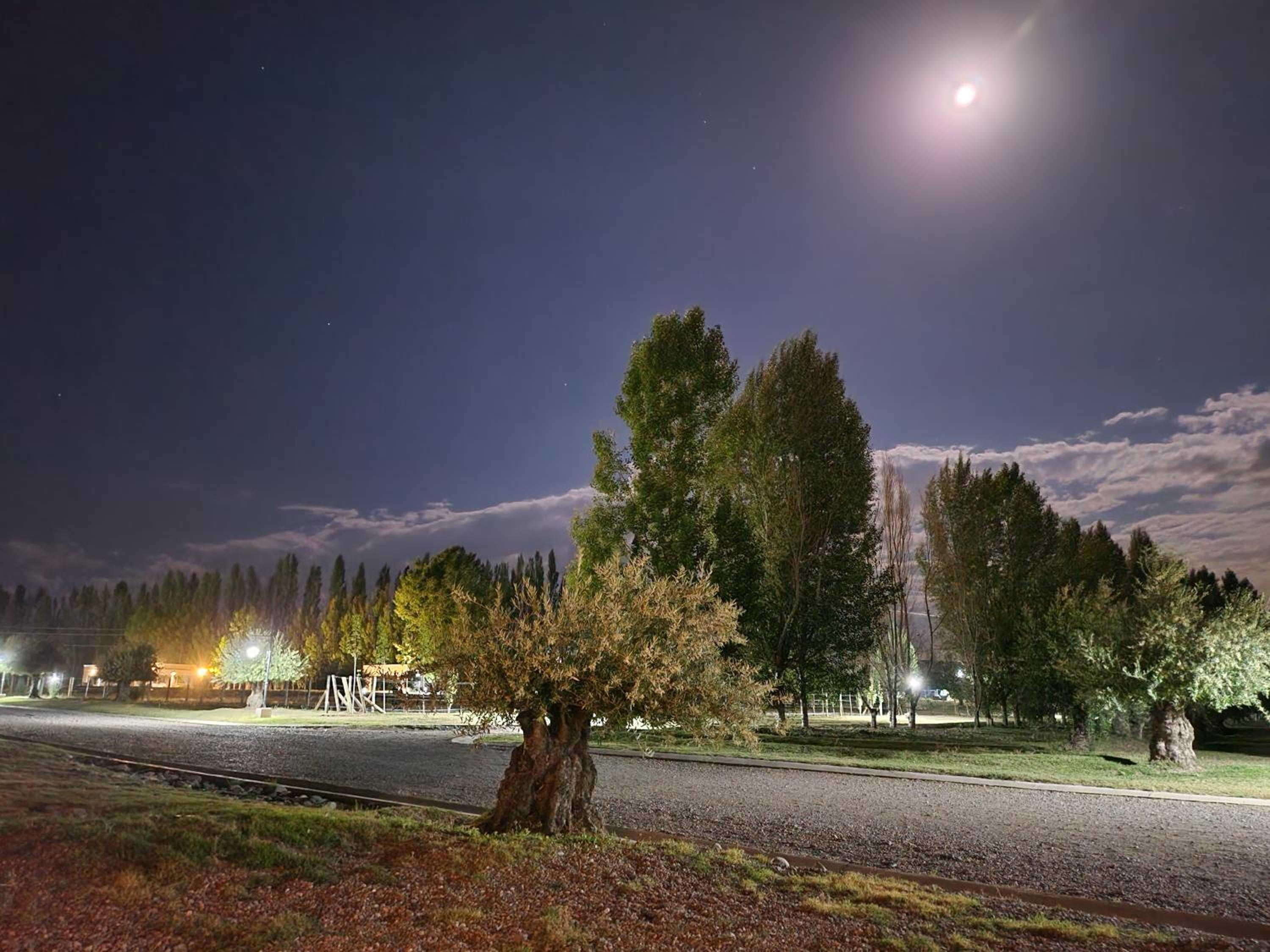 Tupungato entre viñas, valle de Uco