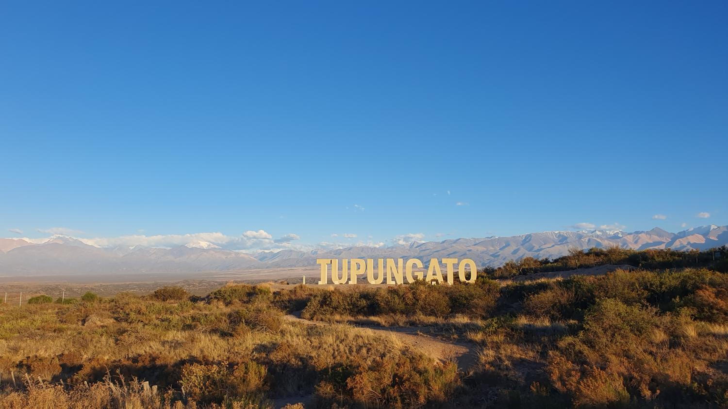 Tupungato entre viñas, valle de Uco