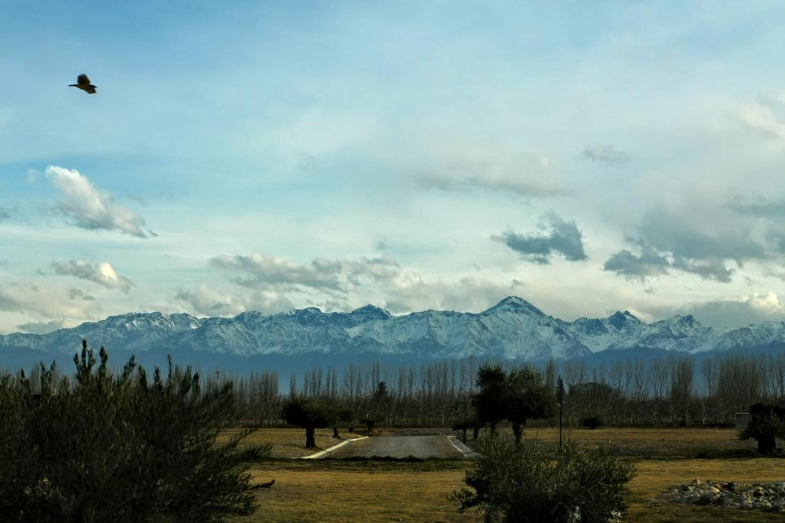 Tupungato entre viñas, valle de Uco