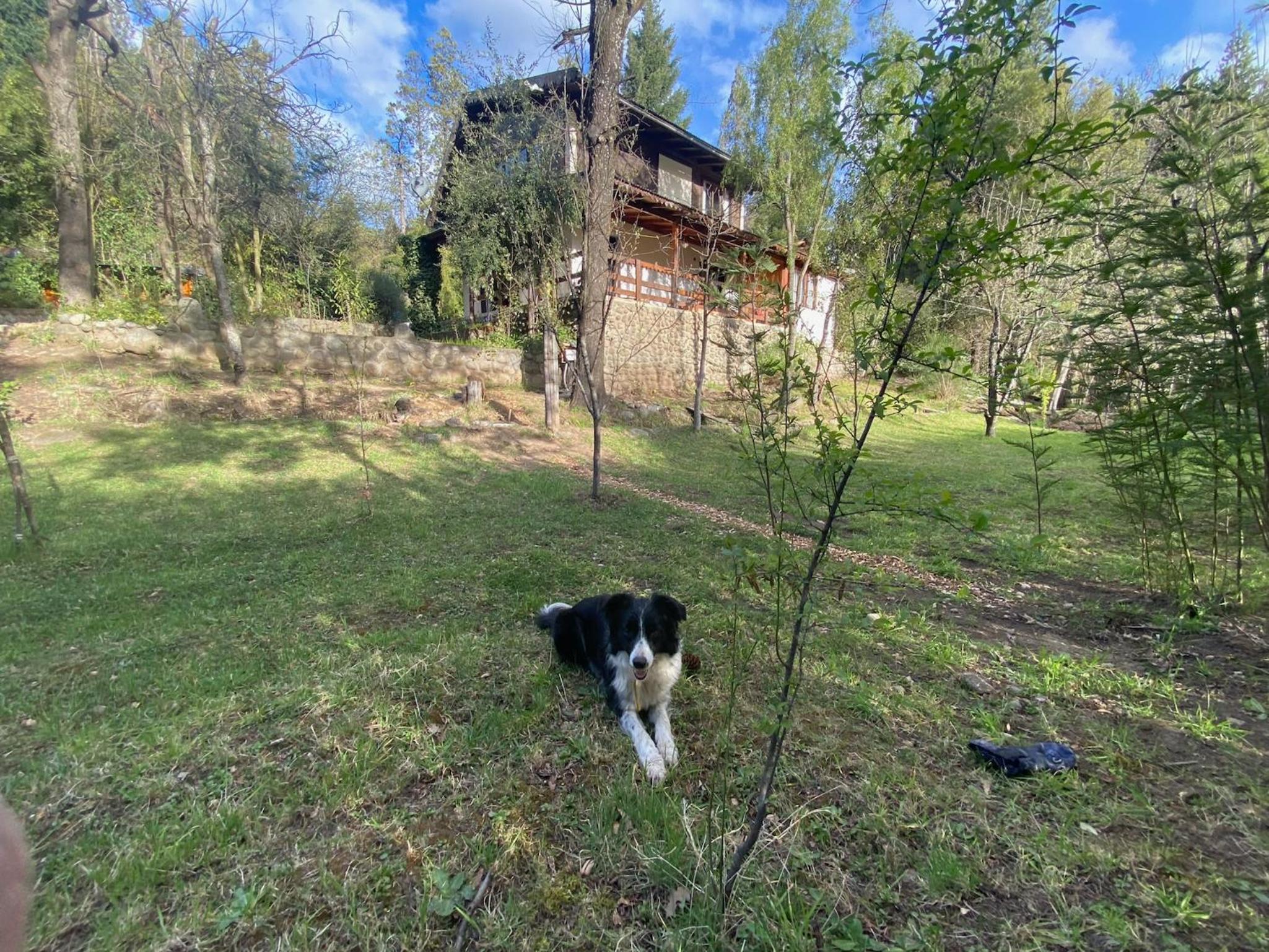 Tannenberg Casa de época