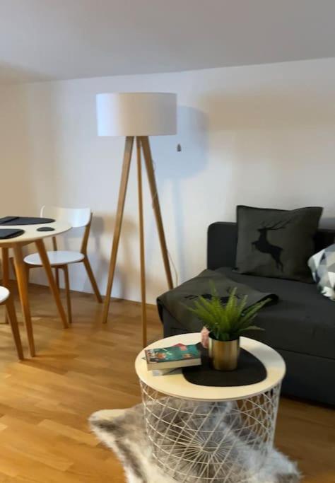 NEUES ruhiges Apartment, Bergblick, Stellplatz