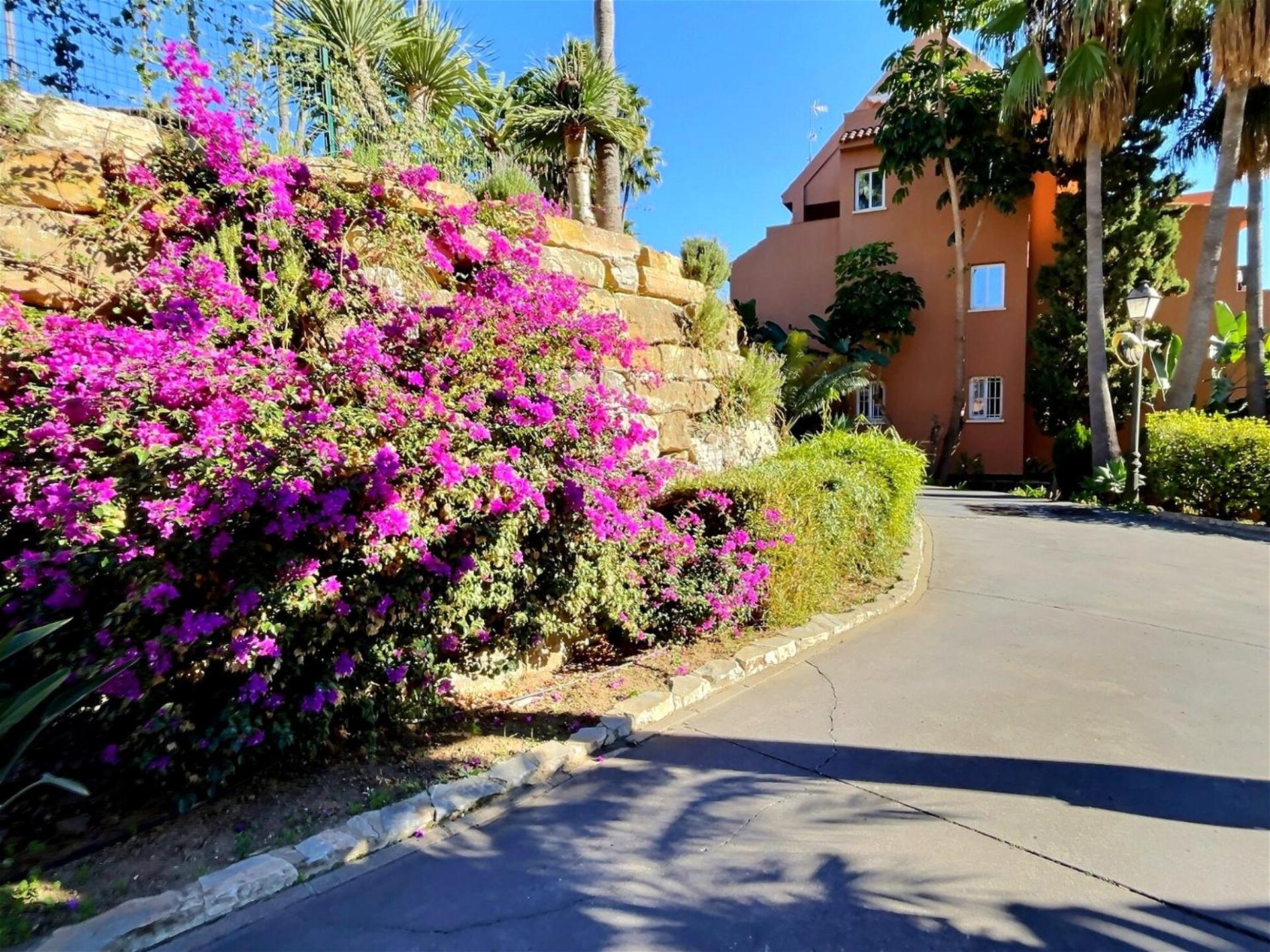 Two bedroom apartment walking distance to a stunning beach in Casares Costa