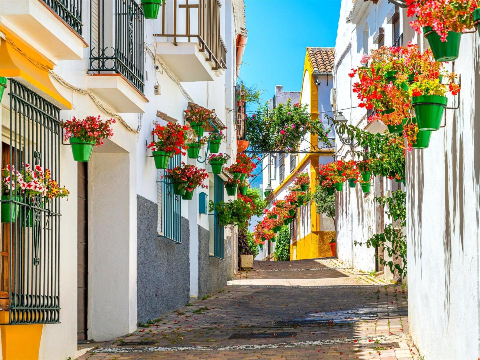 Two bedroom apartment walking distance to a stunning beach in Casares Costa
