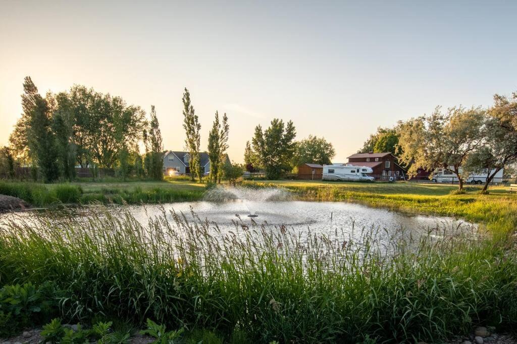 The Charming Cowboy House