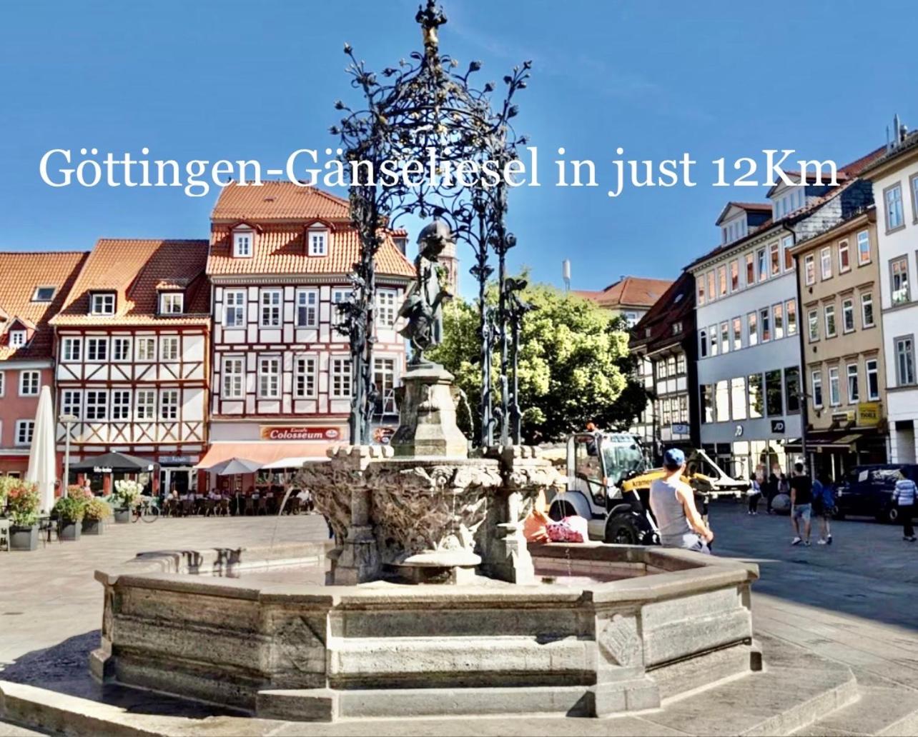 Villa Plesse - exklusiv und geräumig wohnen nahe Göttingen