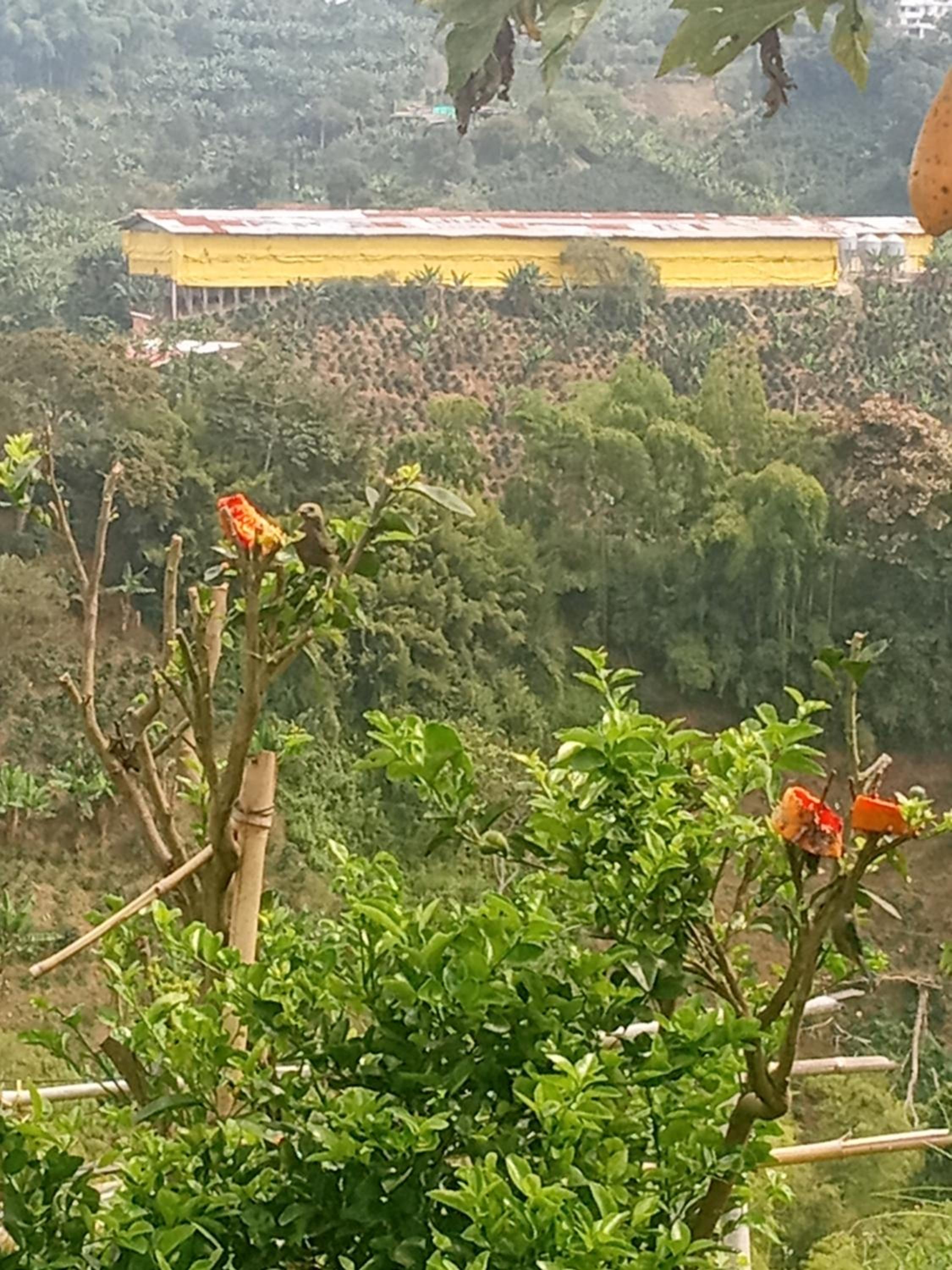 Rancho de Juancho