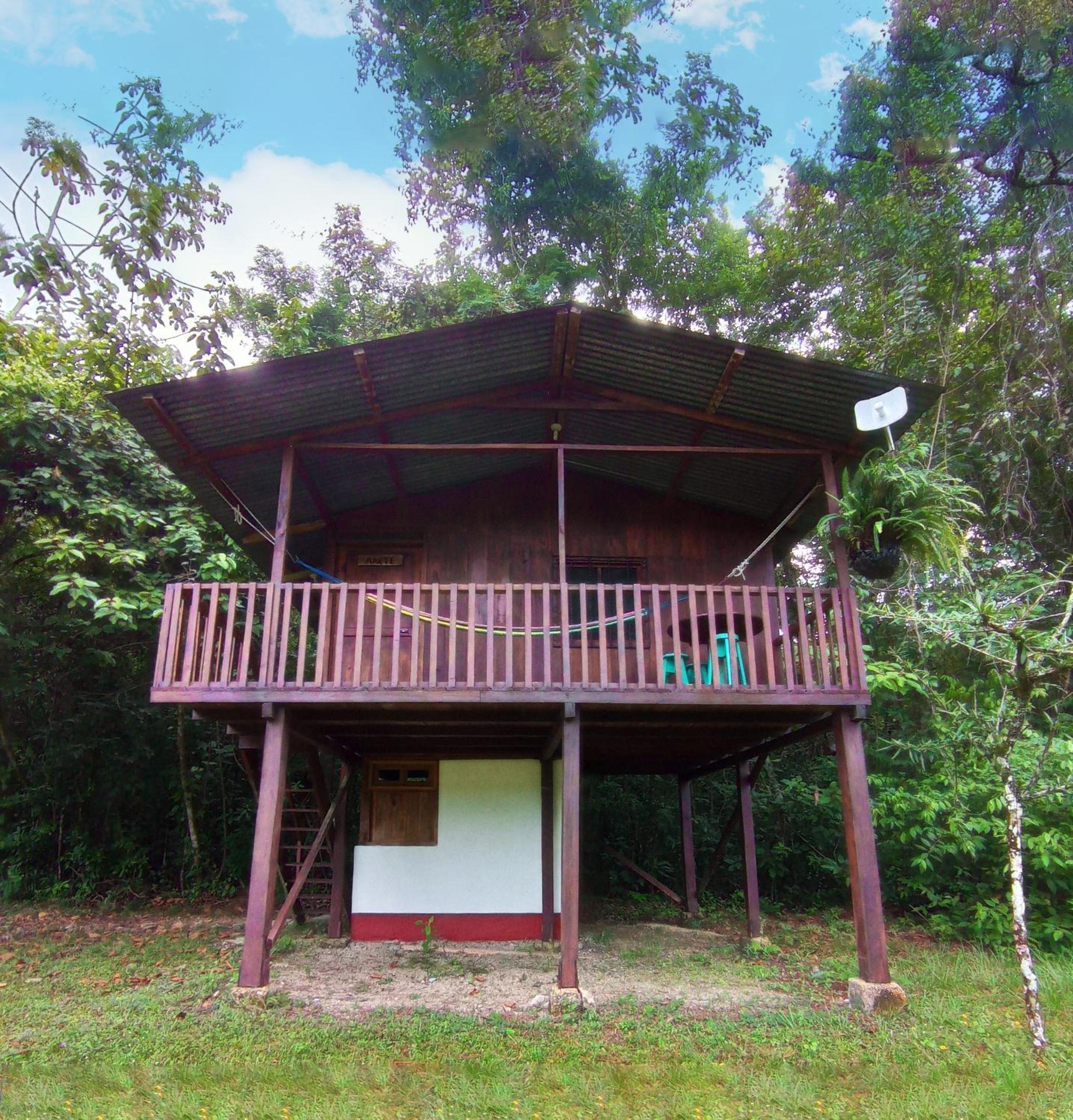 Finca Ixobel, photo 43
