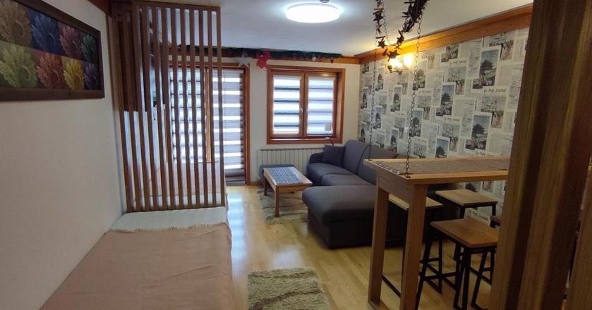 Apartment 122 - Aparthotel Vučko Jahorina - private host