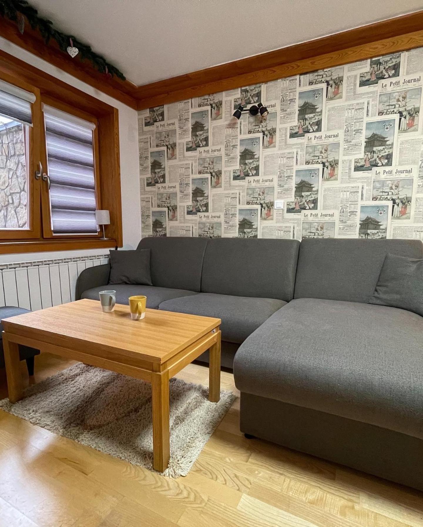 Apartment 122 - Aparthotel Vučko Jahorina - private host