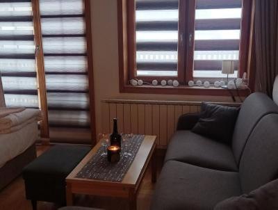 Apartment 122 - Aparthotel Vučko Jahorina - private host