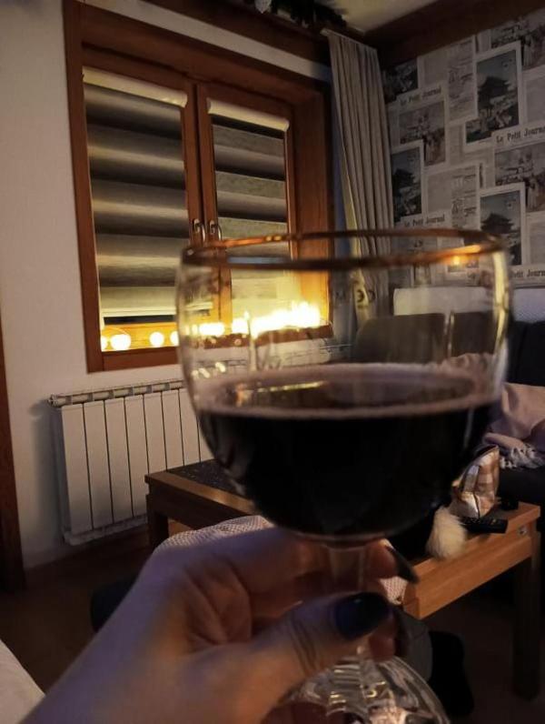 Apartment 122 - Aparthotel Vučko Jahorina - private host
