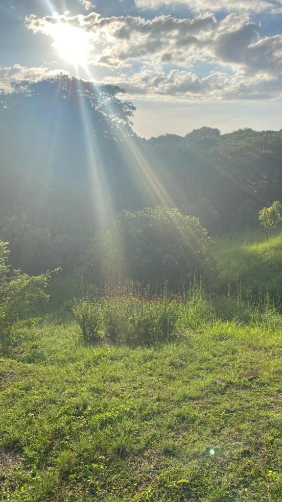 Santa Marta Vacations - Cabana familiar en AFRA Reserva Natural - Property Image 12