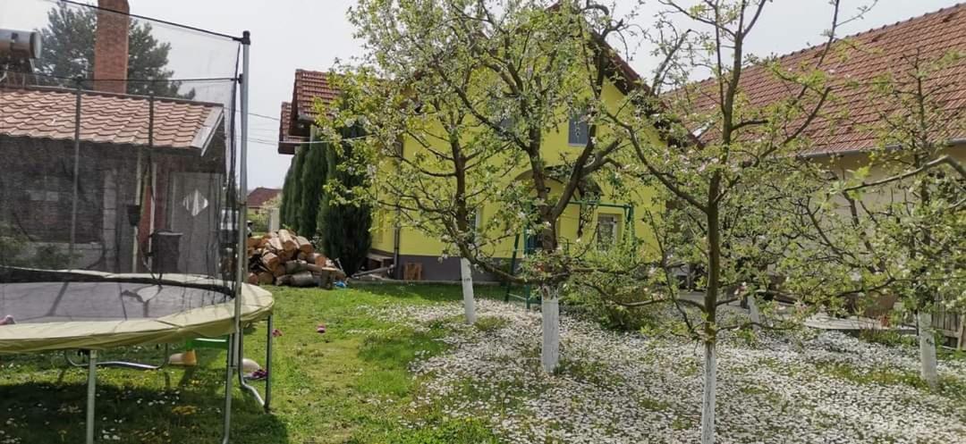 Pensiunea Sofia