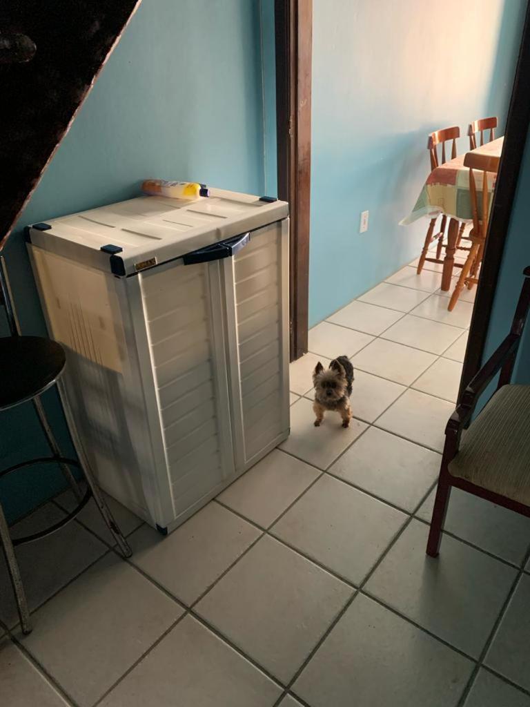 Apto de 6a8 Pessoas a 50m Praia aceita Pets