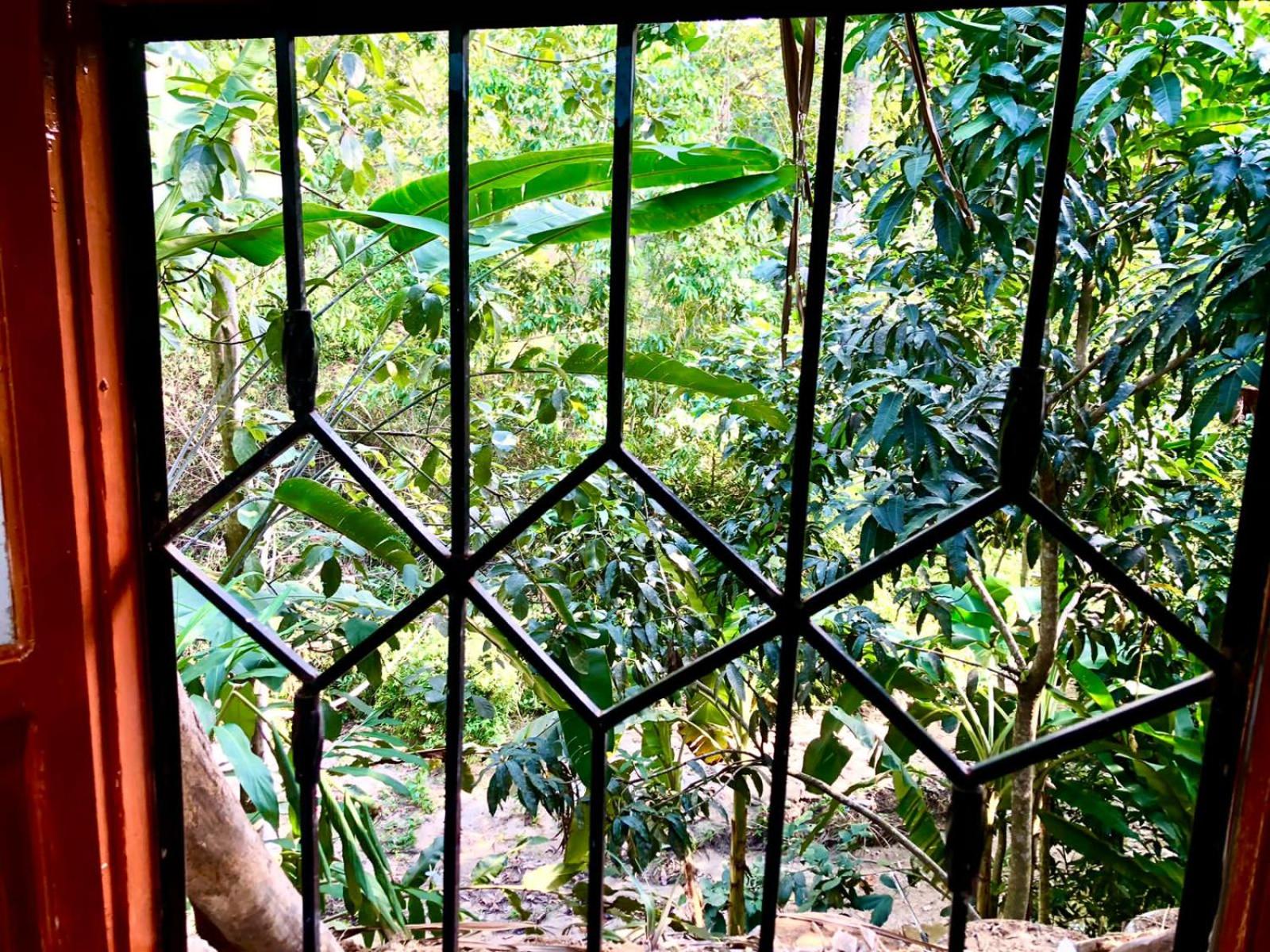 El Descanso Tayrona