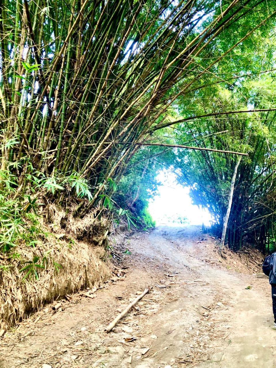 El Descanso Tayrona