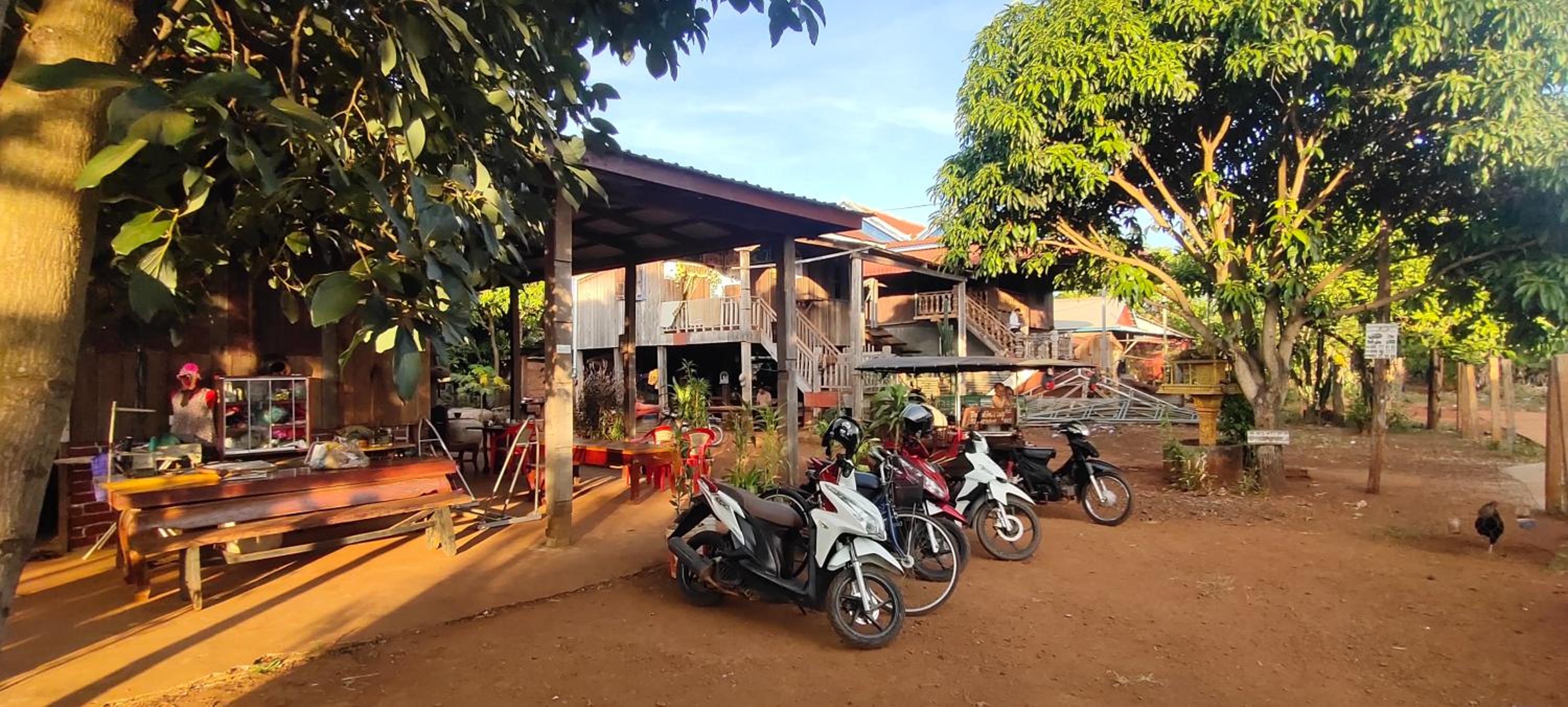Tree Trails Homestay & Offers Jungle Trekk-Scooter For Rental view 2