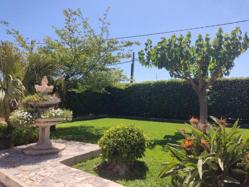 Elche Vacations - Villa Santos - Property Image 12