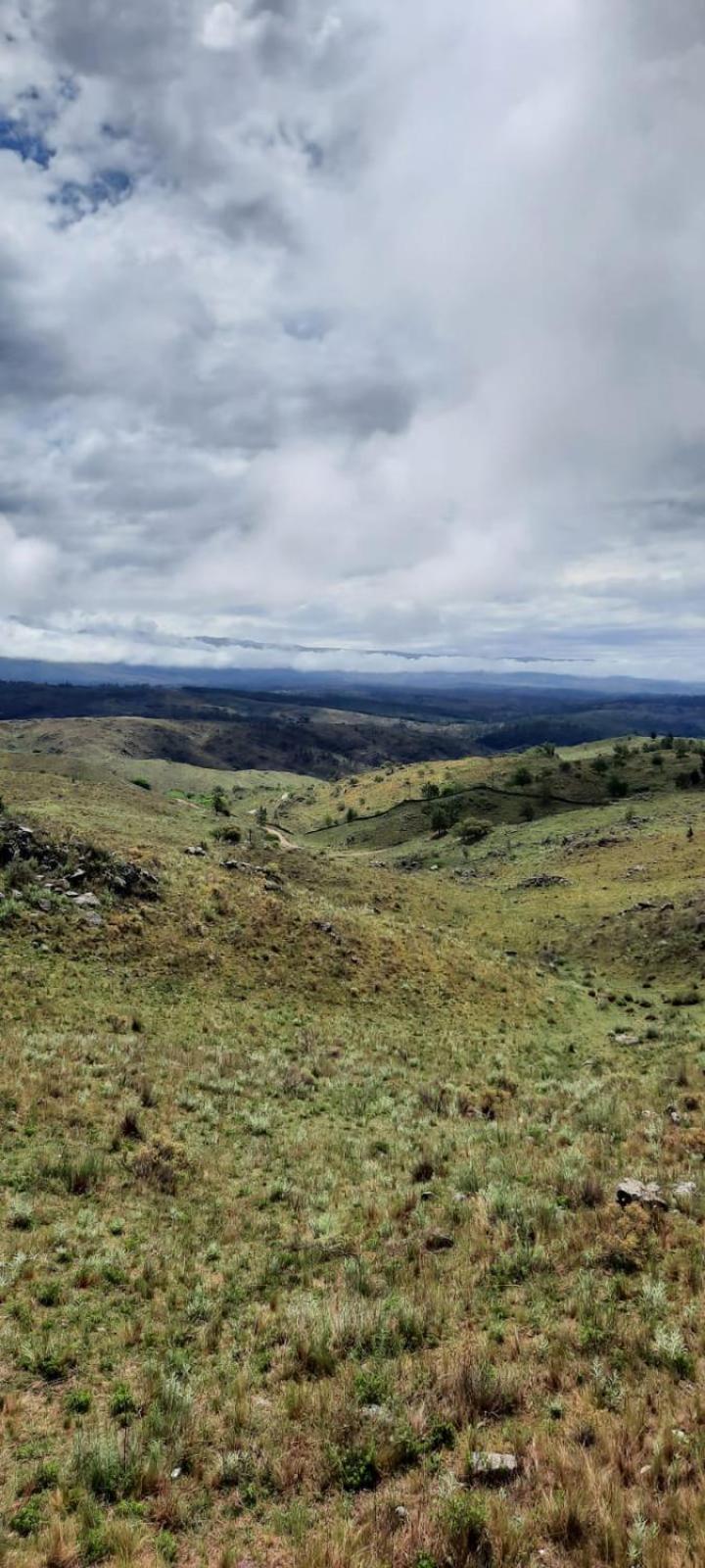 Mirada al Champaqui - Departamento de Montaña