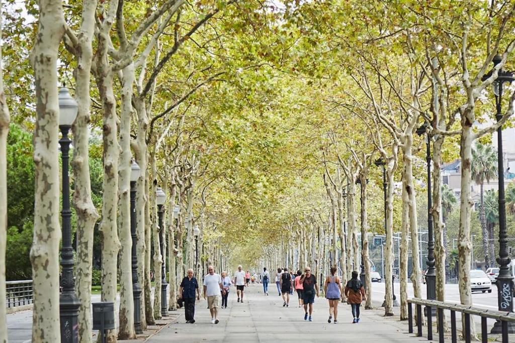 Centric and spacious, excellent for families photo 4