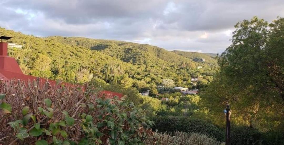Terrazas del Venado