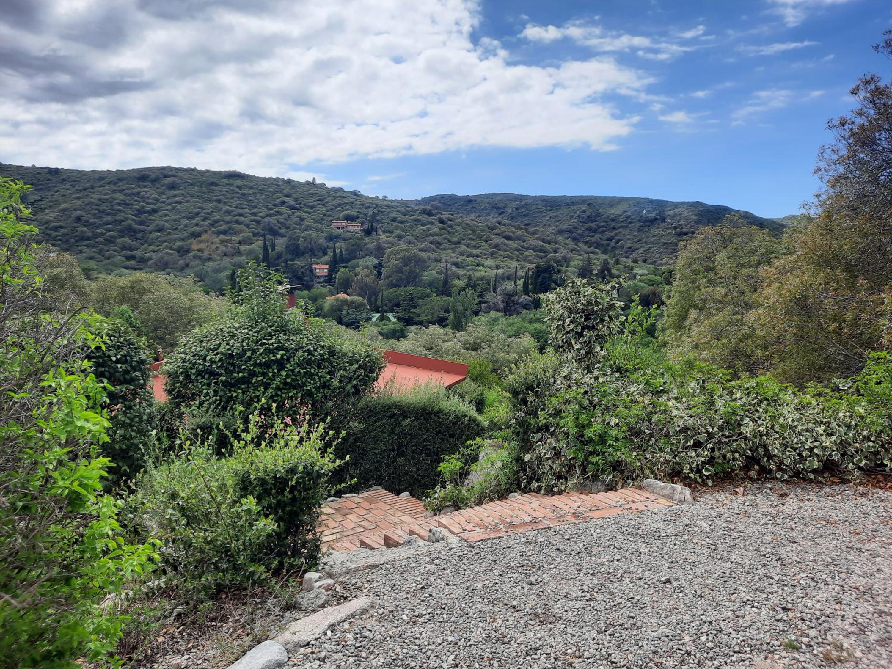 Terrazas del Venado