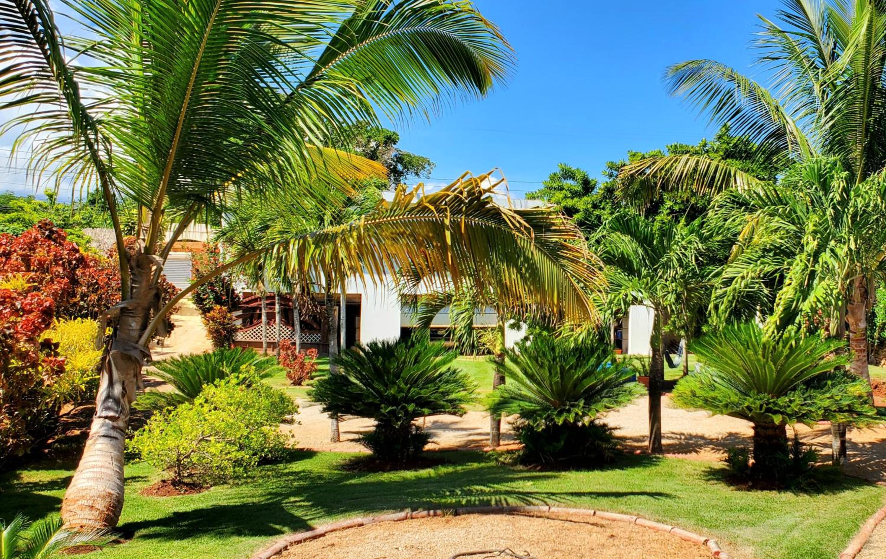Coco Banana Resort Appartment