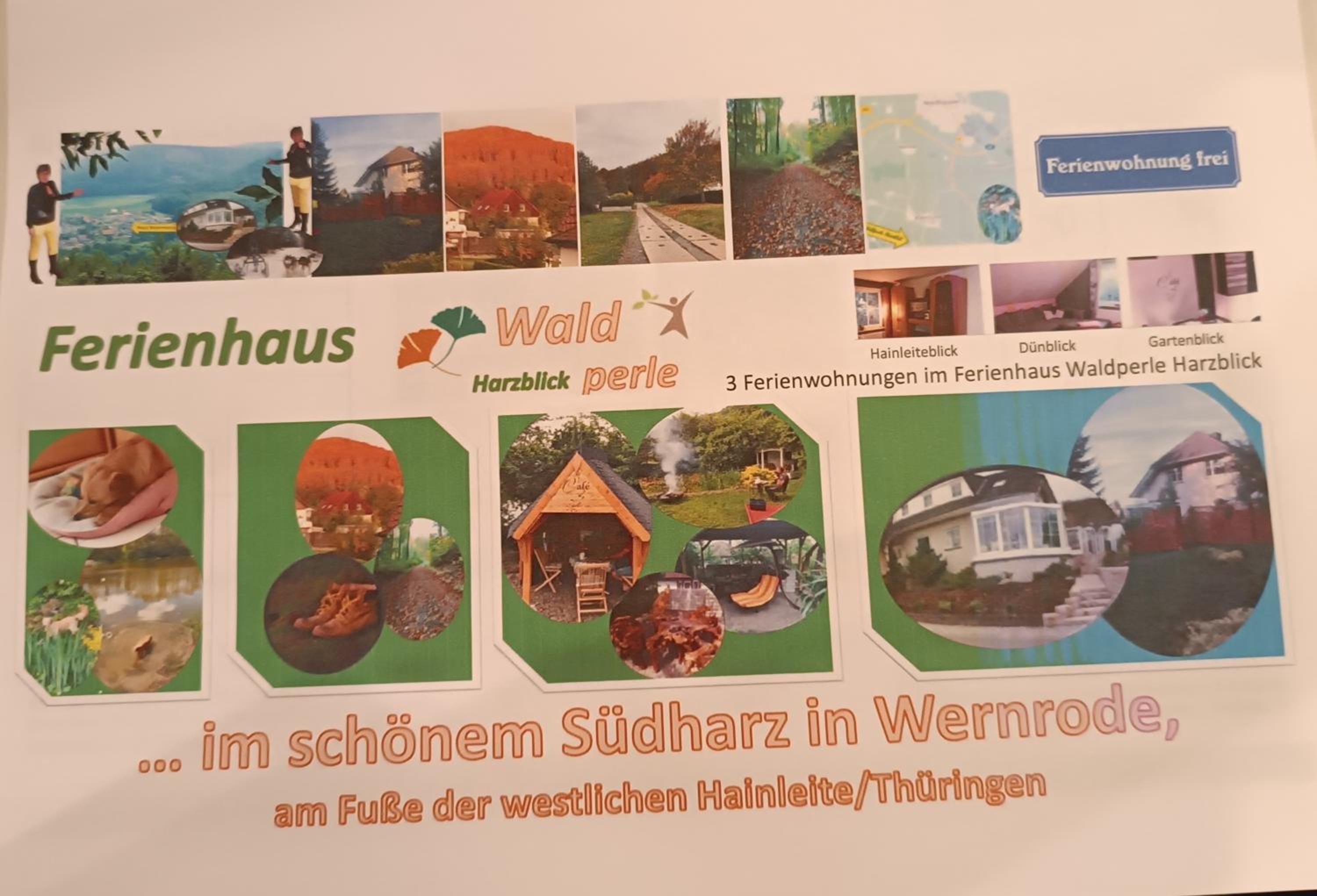 Ferienhaus Waldperle Harzblick view 5