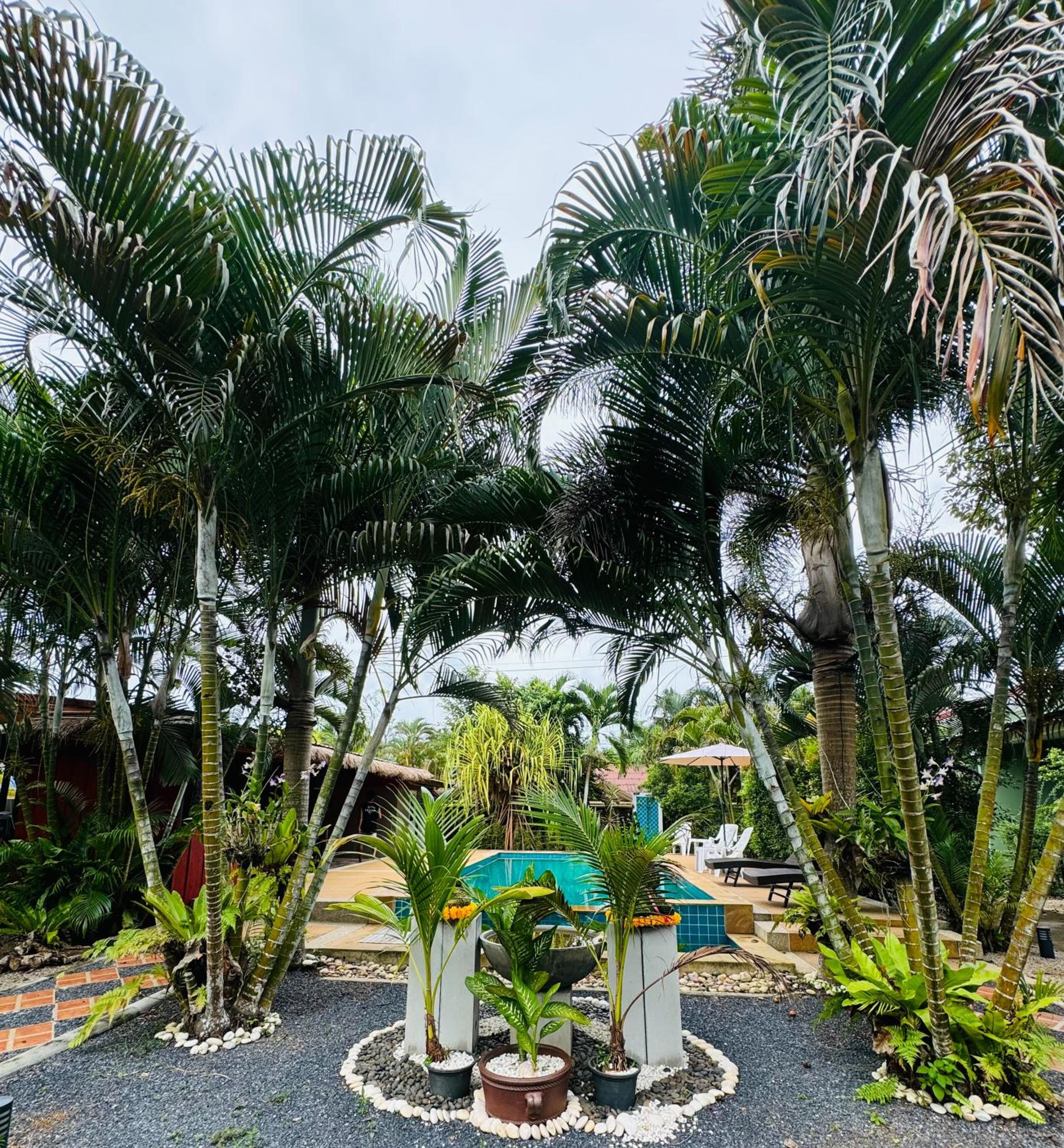 AJ Paradise Resort Aonang Krabi